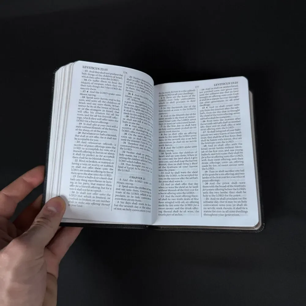 KJV The Holy Bible by James (2013, leather cover) compact